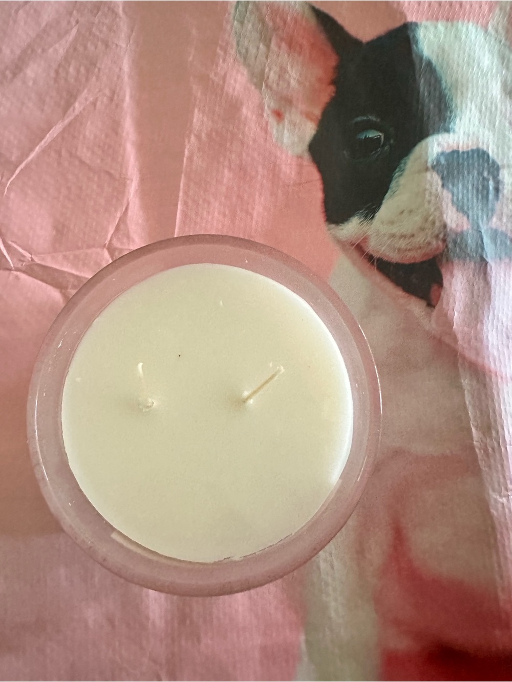 NWT Pink Reusable Tote Bag with Cute French Bulldog Print and Sand + Fog Candle - Picture 5 of 6